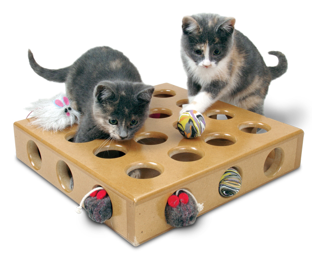Toys For Kittens 99