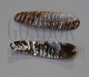 Green abalone fishing lures