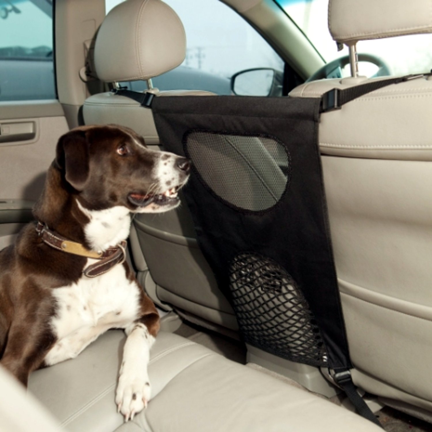 Best Ways To Prevent Car Travel Problems With Your Dog