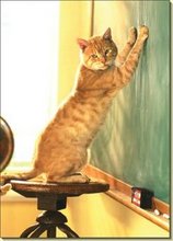 Who let this kitty into the classroom? That noise is making this the worst show and tell ever.