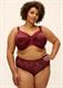 Goddess - Kayla Banded Underwire Bra    Cassis