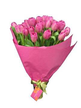 Parking Options at Fiona Stanley Hospital Murdoch - Fiona Stanley Hospital Florist