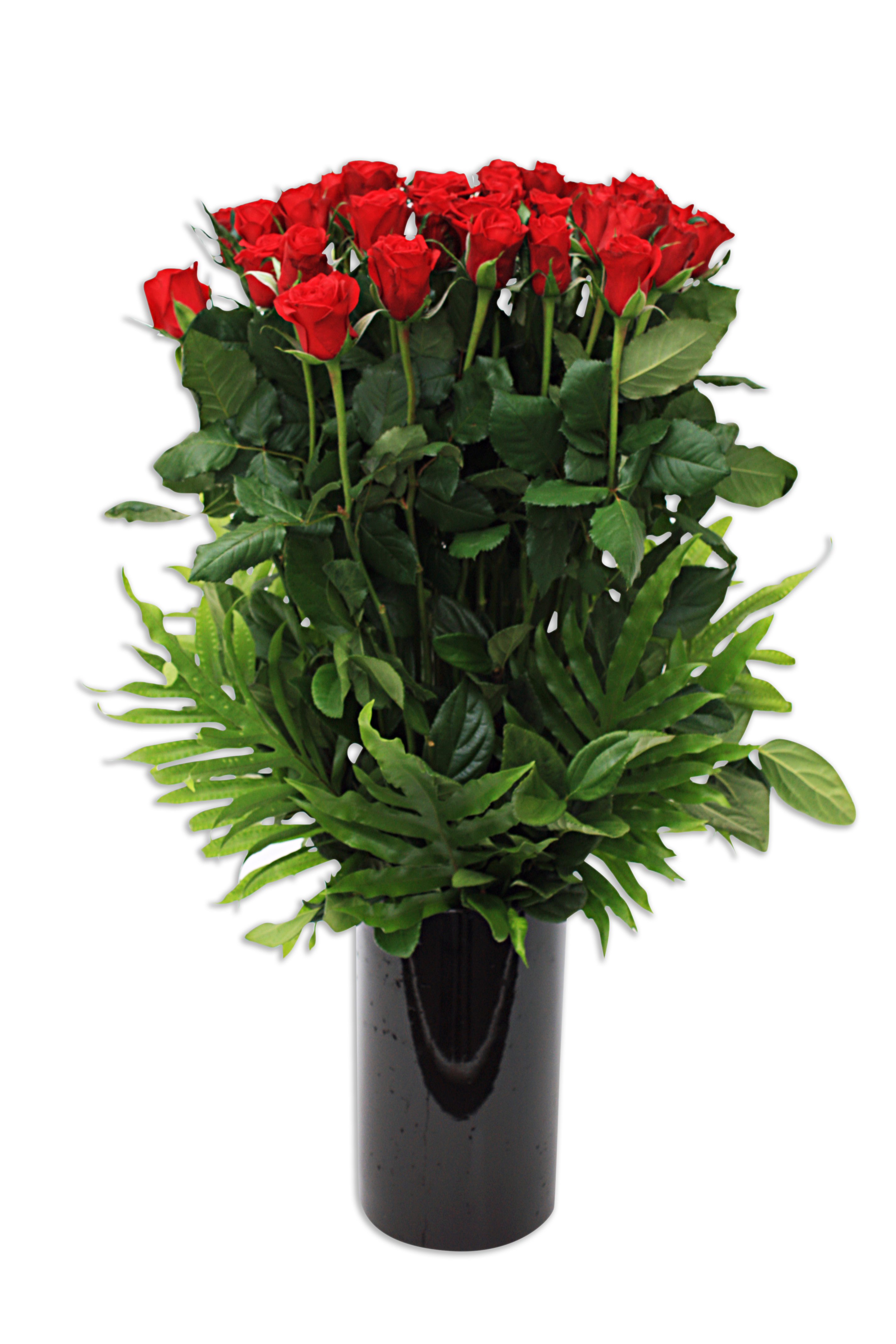 Wembley Day Surgery - Subiaco Florist Delivers Flowers & More to Wembley Day Surgery Daily