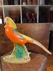 Vintage Zaccagnini Italian Pottery Golden Pheasant Figurine - Signed A.656