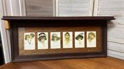 Antique Edwardian English Oak Framed and Mounted Photo Display Panel 