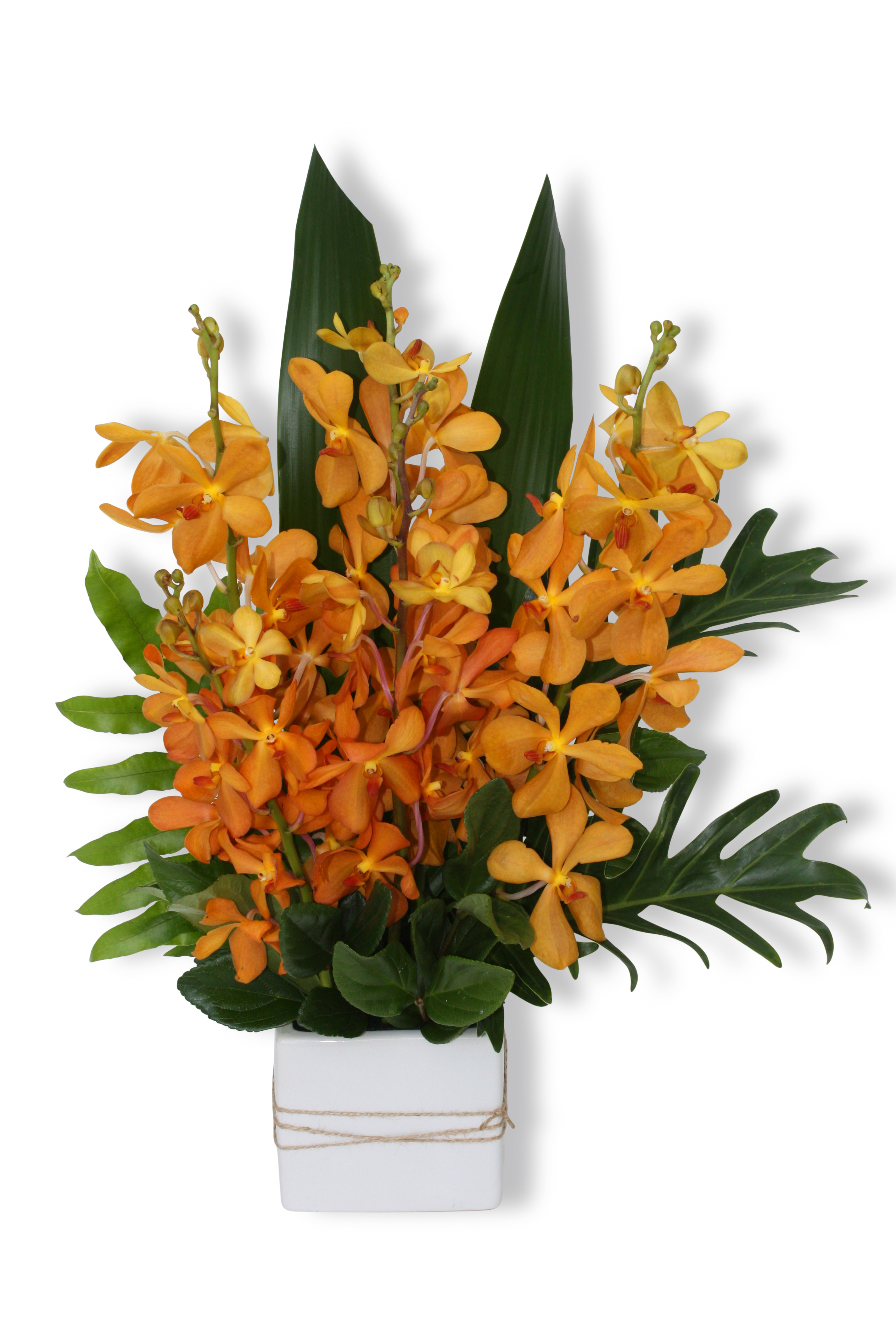 Joondalup Health Campus Services Provided - Joondalup Florist