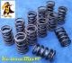 Cleveland Hot Street, Street Strip and Race Valve Springs