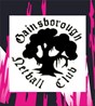 Gainsborough Netball Club