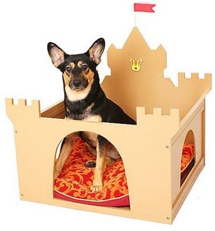 No one can hurt me here. The dog castle is impregnable!