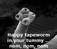 A simple creature. Taking out tapeworms isn't too much trouble.