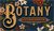 Botany: Brilliant Blue Botanicals - Mini Expansion