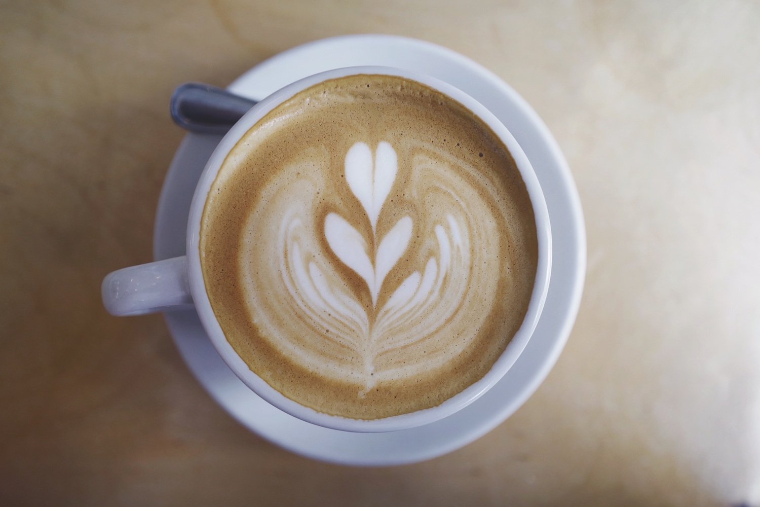 Charcoal Lattes and More Healthy Food Trends 