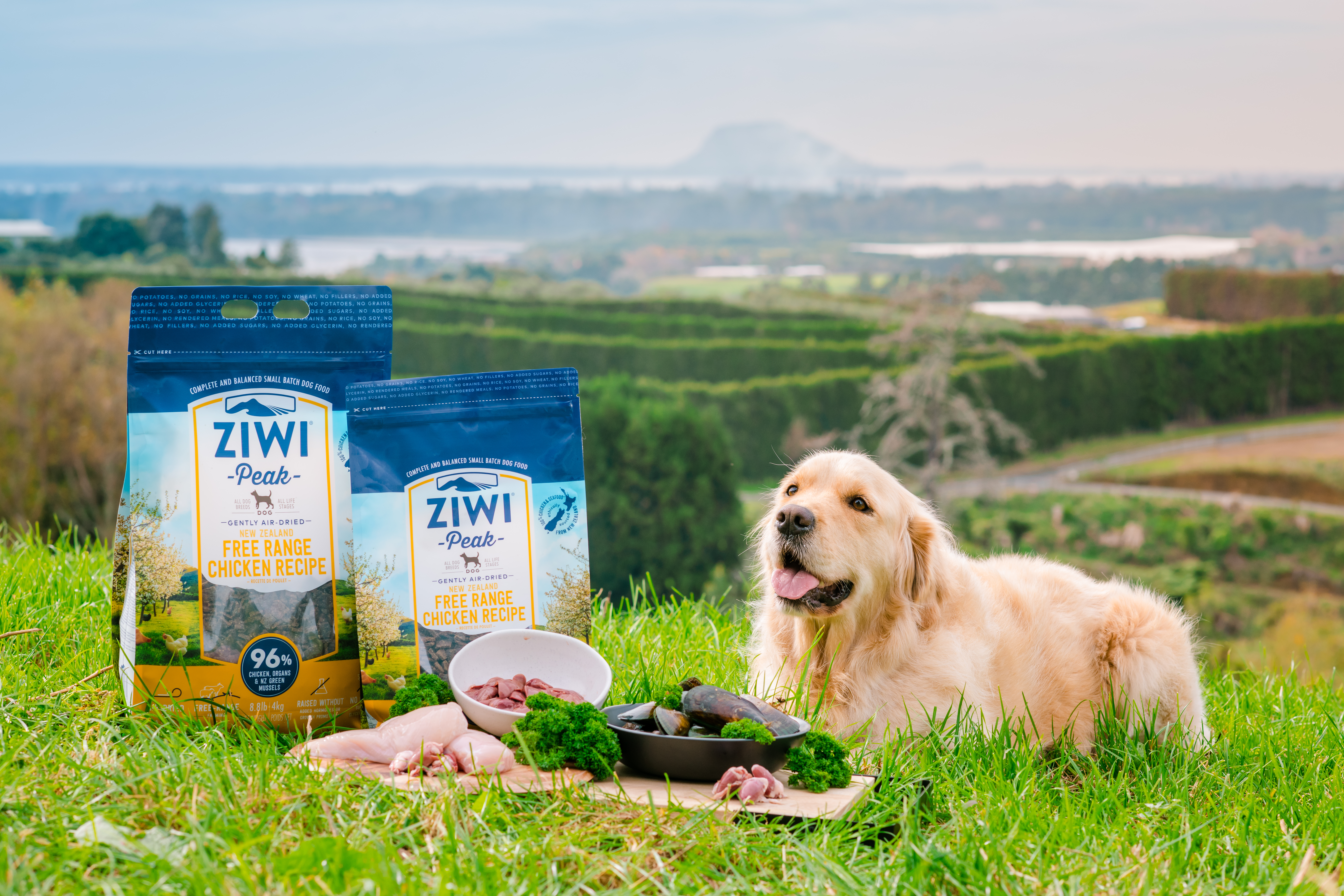 Ziwi Peak air-dried New Zealand Lamb, the ideal natural puppy food